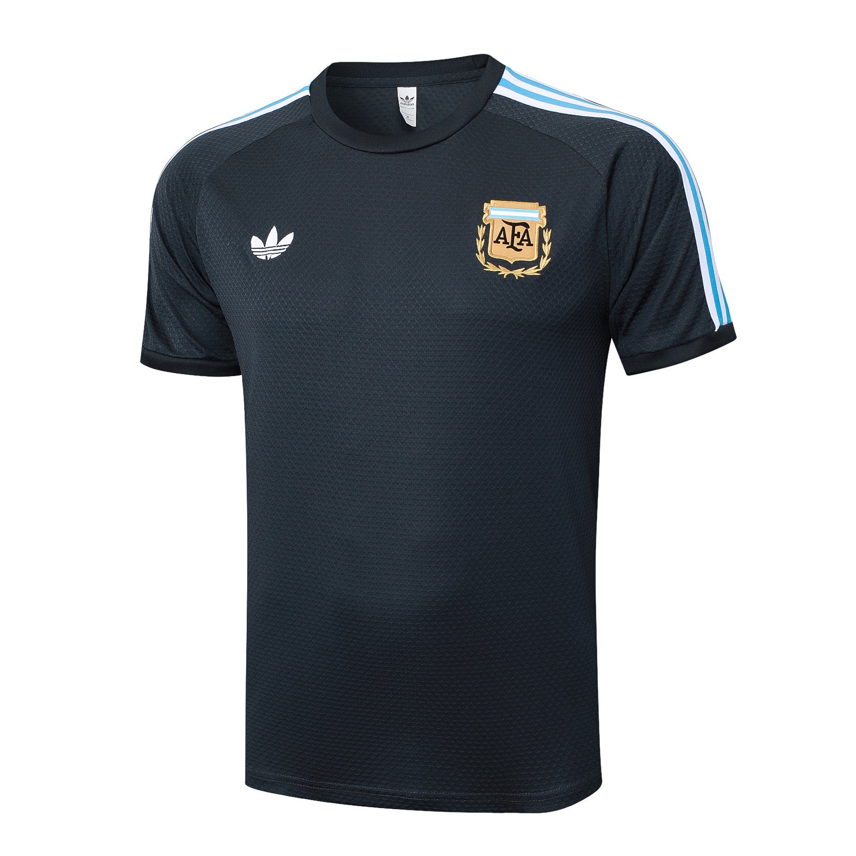ENTRAÎNEMENT OFFICIEL ARGENTINE