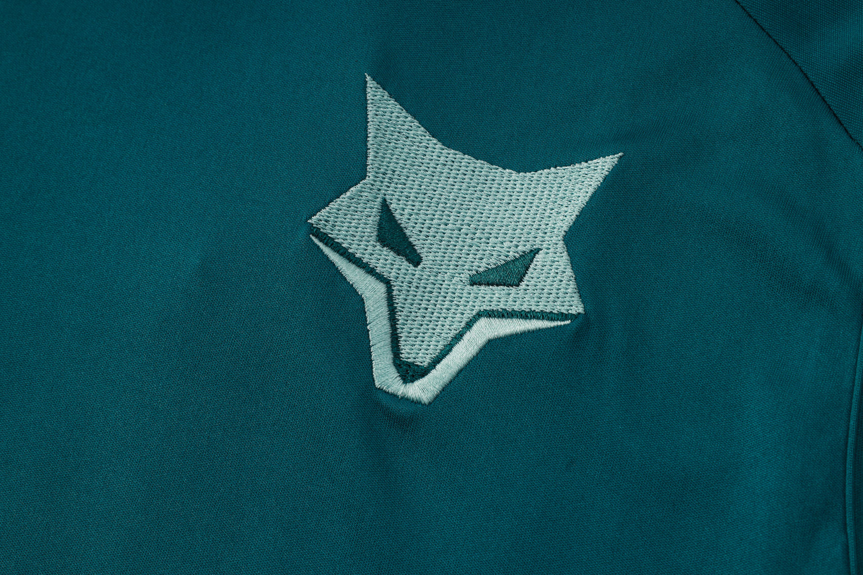ENTRAÎNEMENT OFFICIEL CRUZEIRO