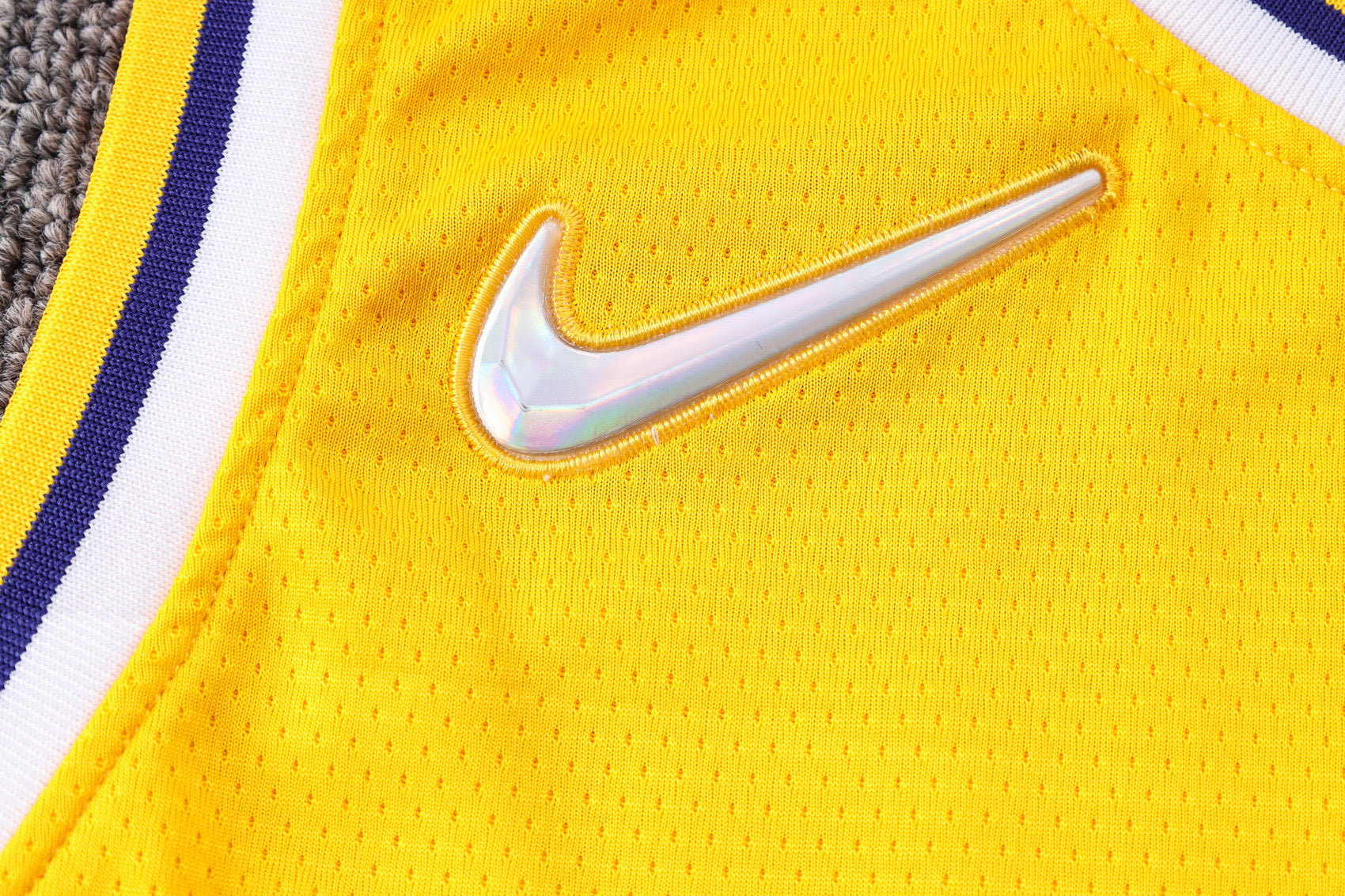 LOS ANGELES LAKERS ICON EDITION 2022/23