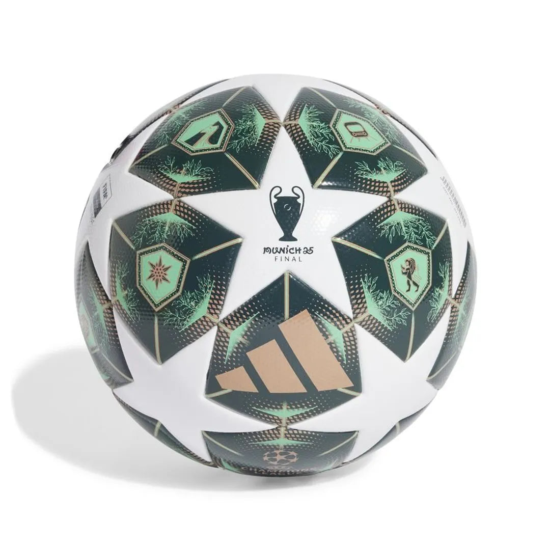 UCL MUNICH FINALE 2024/25
