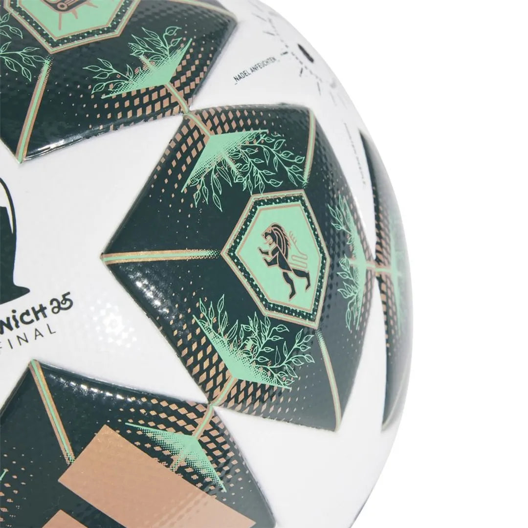 UCL MUNICH FINALE 2024/25
